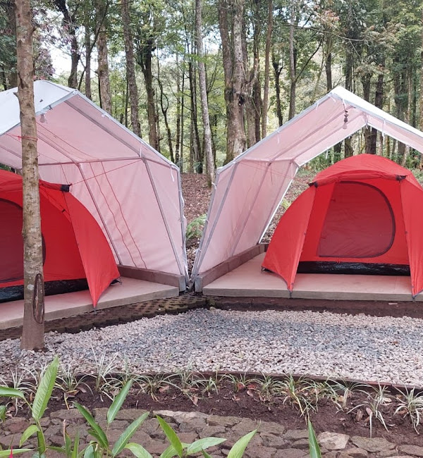 Hejo  Forest Camp & Glamping